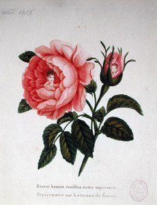 Marie-Louise (1791-1847) avec son fils le roi de Rome (1811-32)