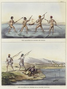 Méthodes de pêche en Nubie et en Égypte - French School