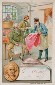 Michel Eugène Chevreul, chimiste français (1786-1889), inspectant de nouvelles teintures - French School