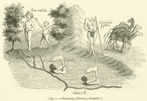 Monocules, Blemmys, Sciopodes (gravure) - French School