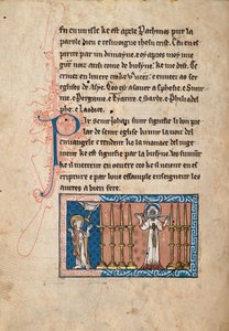 Ms65 f3v, Commentaire sur l