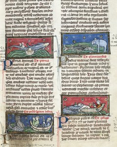 Ms 320 Fol.116 Monstres marins, de 