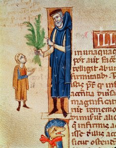 Plantes médicinales, illustration du Traité de Médecine de Claudius Galenus (c.130-c.201) traduit par Gérard de Crémone (1114-87)