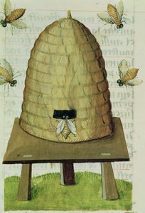 Ms 59 fol.111r Ruche et abeilles, du Grand Herbier