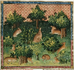 Ms Fr 616 fol.24v Lièvres dans un bois, du Livre de la Chasse par Gaston Phébus de Foix - French School
