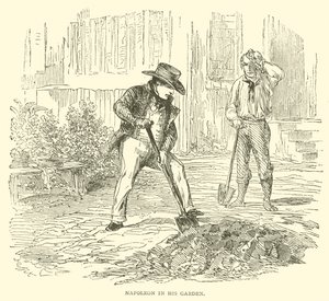 Napoléon dans son jardin