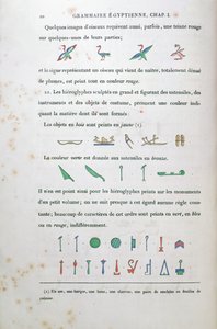Notes sur la coloration de certains hiéroglyphes, de Grammaire Égyptienne par Jean François Champollion (1790-1832) 1836 - French School