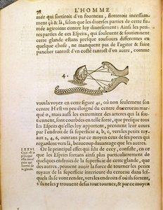 Diagramme optique, de De Homine Figuris par René Descartes (1596-1650) publié à La Haye, 1662