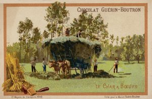 Chariot à bœufs
