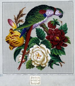 Motif pour broderie au point de croix (perroquet) - dans le « Journal des Demoiselles » 1852.