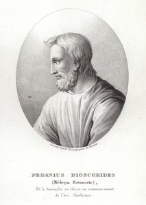Pedanius Dioscorides - French School