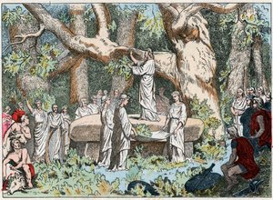 Cueillette du gui par les druides en Gaule, fin du XIXe siècle (gravure)