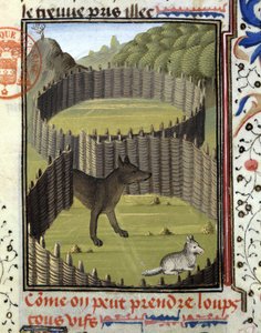 Piège à loup - dans "Livre de chasse de Gaston Phoebus, Comte de Foix, Seigneur de Béarn"