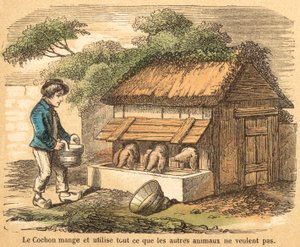 Cochon - French School