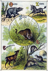 Planche 2 : Ours, Zèbre, Tigre, Cerf, Castors. Gravure dans "Alphabet syllabaire des animaux sauvages". Série A. Pellerin et Cie, imprimeurs-éditeurs, Épinal, fin du 19e siècle. Chromolithographies. Petit album publicitaire de 8 pages contenant un syllabai - French School