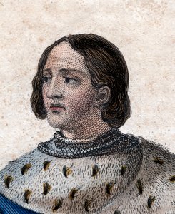 Portrait de Louis XII de France (1462-1515), roi de France