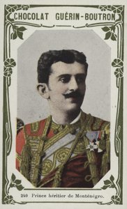 Prince héritier de Monténégro