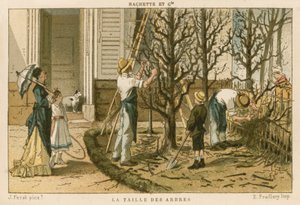 Élagage des arbres