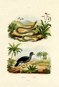 Serpent