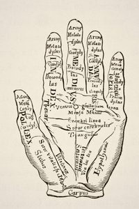 Spécimen de la main gauche avec les lignes et leurs dénominations horoscopiques, de Science et Littérature au Moyen Âge par Paul Lacroix, pub. Londres 1878 - French School
