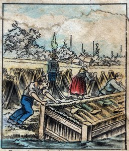 Textile, lin. Rouille du lin : pour séparer les filaments de paille, les bottes de lin sont trempées dans l