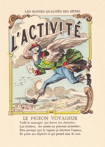 Le Pigeon Voyageur c.1900