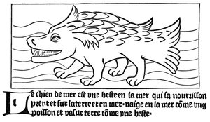 Le Chien de Mer - French School