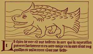 Le Chien de Mer - French School