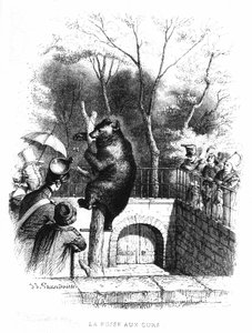 La fosse aux ours du jardin des plantes à Paris - gravure - French School