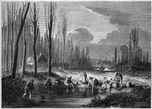 La pêche aux sangsues dans les environs de Versailles - French School