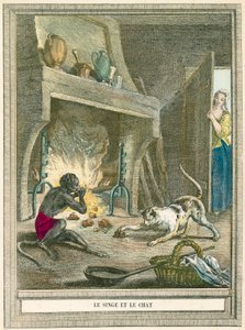 Le singe et le chat