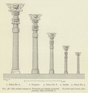 Les différentes colonnes à Persépolis et Istakhr comparées - French School