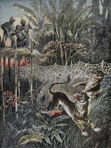 Chasse au tigre dans les jungles en Inde : les rabatteurs sont derrière le filet et les chasseurs sont en sécurité sur le belvédère. Gravure dans 