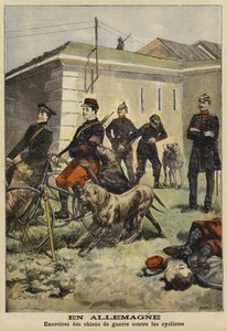 Entraînement des chiens de l
