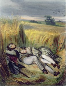 Deux amants allongés dans un champ de maïs