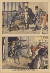 Deux nouvelles sensationnelles (lithographie couleur) - French School