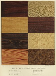 Types de bois exotiques utilisés en ébénisterie