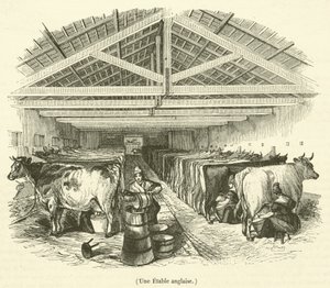 Une Etable anglaise (engraving) - French School