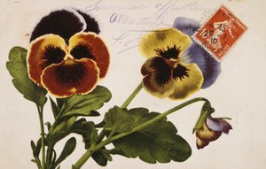 Carte postale française vintage avec décorations florales