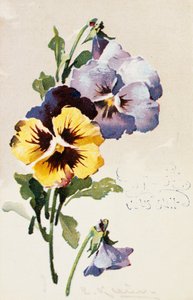 Carte postale française vintage avec décorations florales