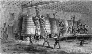 Viticulture dans le Médoc : foulage et mise en cuve. Gravure dans « Le Monde Illustré » n°561 du 11 janvier 1868.