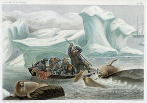 Chasse au morse - dans « Le monde de la mer » par Alfred Fredol, Hachette, Paris - French School