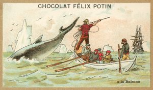 Chasse à la baleine