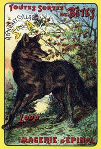 Loup. Couverture de "Syllabaire alphabet toutes sortes de betteraves". Série A. Pellerin et Cie, imprimeurs-éditeurs, Épinal, fin du 19e siècle.
