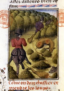 Chasse au loup - dans « Livre de chasse de Gaston Phébus, comte de Foix, seigneur de Béarn » - French School