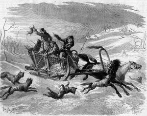 Chasse au loup en Russie