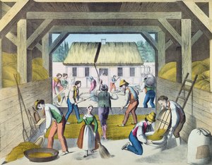 Travail dans la cour de ferme, probablement dans l