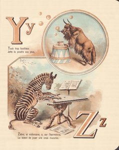 Y Z: Yak, Zèbre