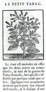 Le Petit Tabac, illustration de Discours du Tabac par Jean Le Royer de Prade, 1671