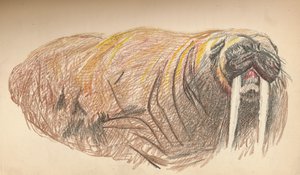 Endormi et en colère, 12 septembre 1893. Esquisse au pastel, 1893, 1897
